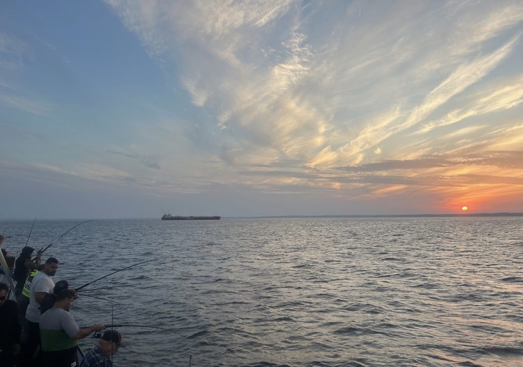 fiske Öresund är helt magiskt 