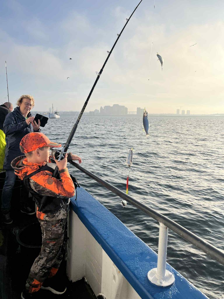 sillfiske landskrona med rååbåtarna