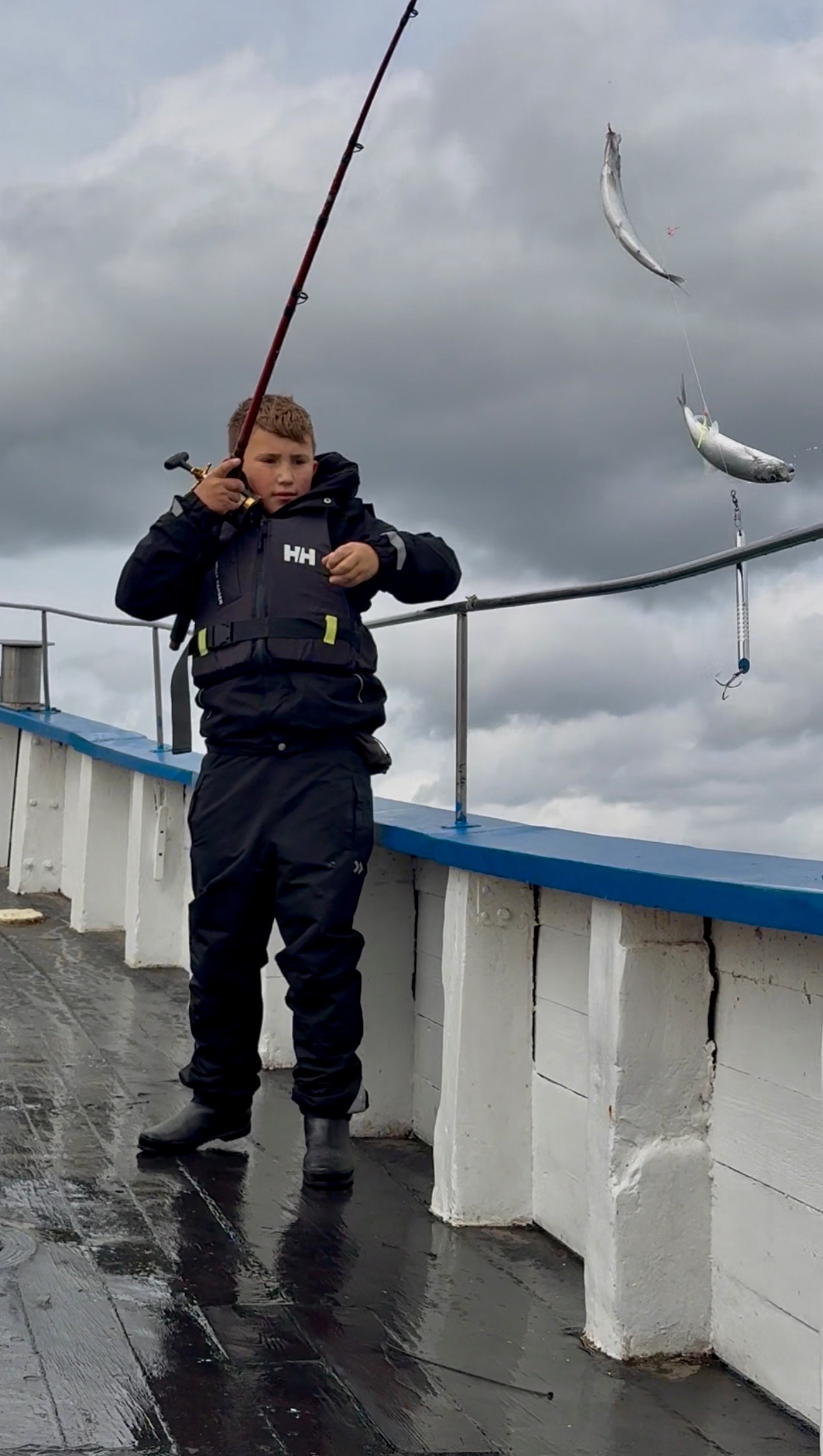 sillfiske mellan helsingborg och landskrona