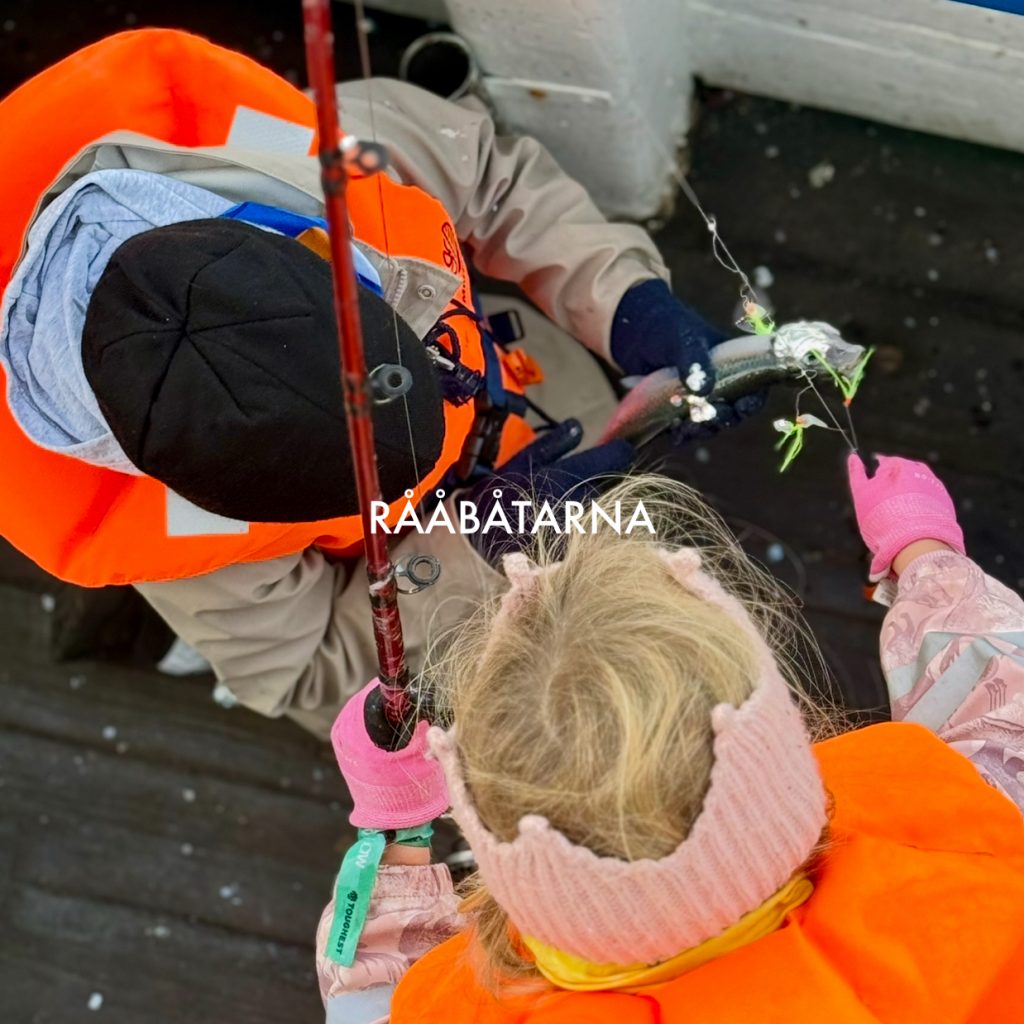 höstlovs fiske med rååbåtarna i helsingborg landskrona