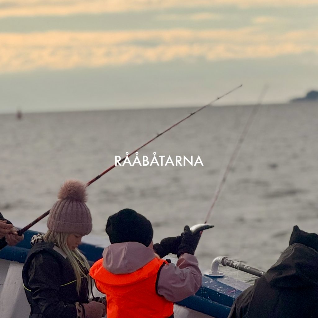 HÖSTLOV FISKE FRÅN RÅÅ MELLAN HELSINGBORG OCH LANDSKRONA 