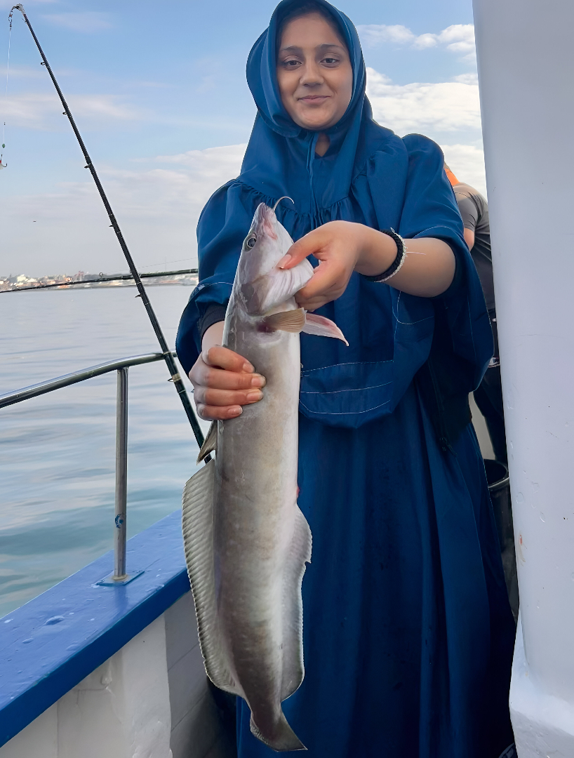 långa art i öresund 