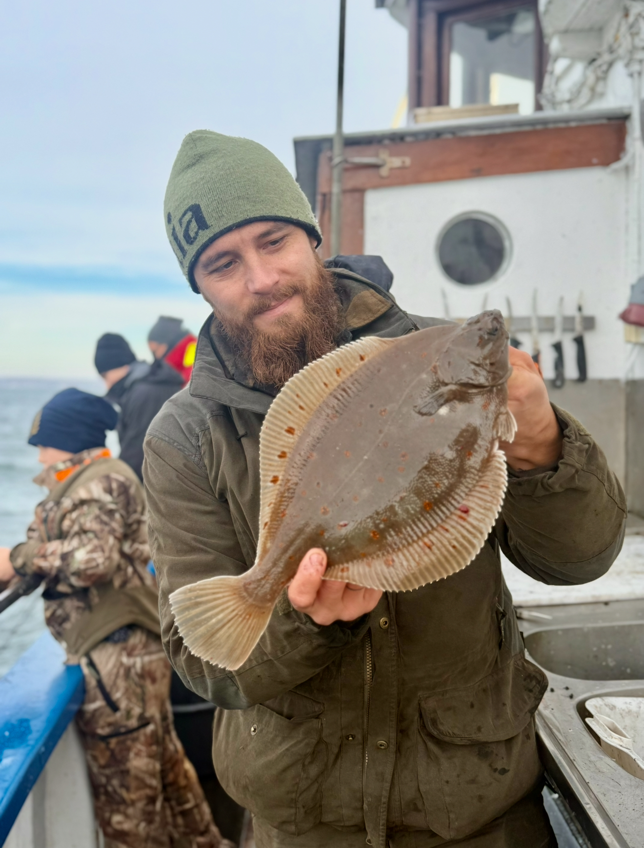 rödspätta art i öresund