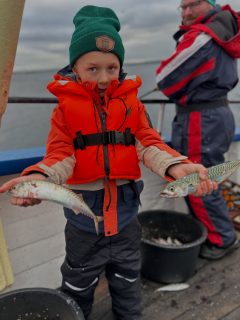 Trevligt fiskeri idag med både härliga makriller och finfina sillar! 🎣
Glada gäster och fisk i mängder – precis som vi vill ha det på Öresund ☀️🌊
📅 Turlista – Höstlov v.44
Tisdag–Fredag: 08.00–12.00
Lördag & Söndag: 08.00–12.00 | 13.00–17.00
📞 Boka din plats nu – ring 070-201 00 88
Platserna går snabbt under lovet, så säkra din plats redan idag!
🌭 Alla barn bjuds på korv med bröd under höstlovet – fiskelycka för hela familjen 🎣
#rååbåtarna #höstlovsfiske #öresund #fiske #havsfiske #helsingborg #familjeaktivitet #fisketur #sillfiske #makrill #skåne #barnvänligt #fiskeeventyr #fiskeglädje #råå #öresundsfiske