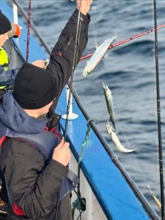 Ja, såhär ska ett höstlov se ut! 🍂🎣
Lite regn i luften, solen som kikar fram – och dunderfiske på det!
Precis så såg dagen ut för våra höstlovsfirande ungdomar ute på sundet.
Alltid lika kul att ha unga fiskare ombord – vissa är redan riktiga fiskefanatiker, andra fångar sin allra första fisk, men glädjen och nyfikenheten är densamma hos alla 😁
Otroligt rolig dag på Öresund! 🌊
📞 Nästa avgång är fredag 8–12, ring 070-201 00 88 och boka din plats nu!
📅 Turlista – Höstlov v.44
Fredag: 08.00–12.00
Lördag: 08.00–12.00 | 13.00–17.00
Söndag: 08.00–12.00 | 13.00–17.00
⸻
#rååbåtarna #öresund #höstlovsfiske #fiske #havsfiske #helsingborg #fisketur #familjeaktivitet #skåne #sundet #fiskelycka #sillfiske #makrill #fiskeeventyr #fiskeglädje #råå #öresundsfiske #barnvänligt