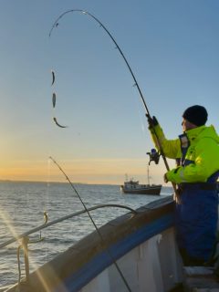 Detta var en dag man inte skojar bort!☀️
En novemberdag som bjöd på strålande sol och ett Öresund med vindar som i princip inte existerade. Fisket levererade också fint. sillen nappade på bra, några makrillar kom upp och två knotar dök upp som extra överraskningar 🎣
Vi har några platser kvar imorgon, söndag 08–12.
Boka nu på 070-201 00 88 📞
Hashtags:
#rååbåtarna #öresund #fiske #havsfiske #sillfiske #makrill #helsingborg #skåne #fiskelycka #novemberfiske #fisketur #sportfiske #sundet #fiskeweekend #familjeaktivitet #fiskeglädje