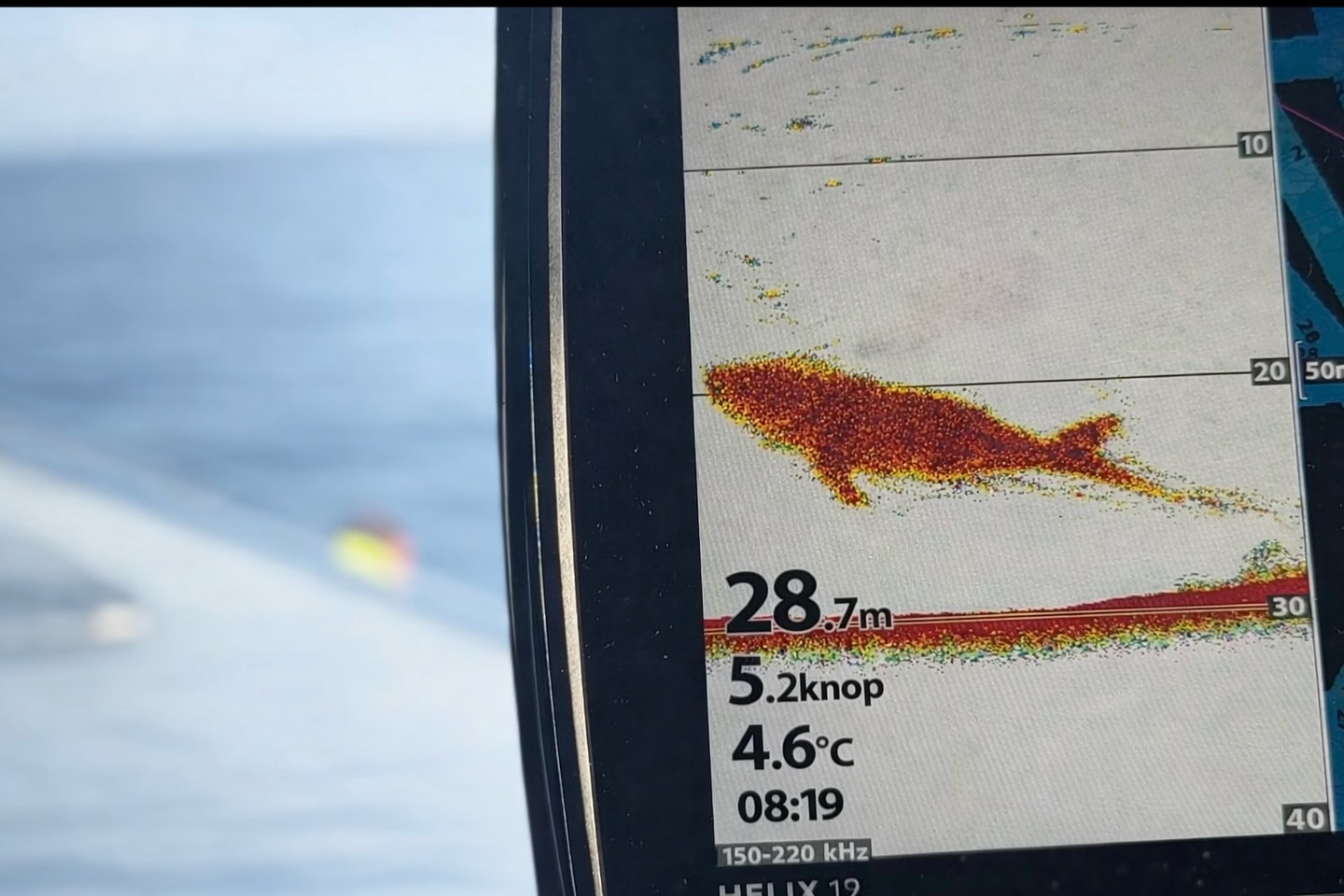 ⚠️ Ovanlig observation på Öresund idag

Under dagens påskfiske fick vi en ekolodsbild som stack ut rejält från det vi normalt ser här ute.

På cirka 28 meters djup registrerades en tydlig, sammanhängande struktur med en form och storlek som inte riktigt stämmer överens med vare sig stimfisk eller bottenformation.

Vi följde signalen en stund och den låg kvar stabilt, vilket gör det ännu svårare att avfärda som tillfälligt brus eller störning.

Det här är inget vi brukar se i området.

👉 Är det någon här som har sett något liknande på ekolod tidigare?