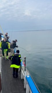 Öresund är et så fantastiskt fiskevatten🎣