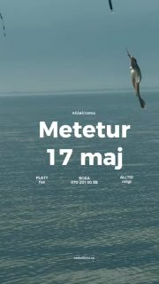 🎣 METETUR – SÖNDAG 17 MAJ! 🌊

Söndag den 17 maj kör vi ännu en metetur på Öresund 👌 
Våren är här och förutsättningarna börjar bli riktigt fina för en härlig dag ute till havs med spännande mete och trevlig stämning ombord.

Tidigare turer har bjudit på bland annat skrubba, sandskädda och rödspätta – och nu hoppas vi på ännu en fin dag på sundet 🎣

📅 Söndag 17 maj 
⏰ 08:00 – 14:00 
📍 Avgång från Råå hamn

Ta med familj, vänner eller kom själv och njut av en dag med havsluft, fiske och gemenskap ute på Öresund 🌊☀️

📞 Boka plats: 070-201 00 88 
🪱 Mask beställs vid bokning

Platserna är begränsade – först till kvarn gäller!

Välkomna ombord på Rååbåtarna 🚤