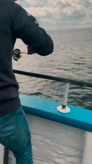 🎣 Det är därför vi fiskar…
Spöet bugar sig.
Pulsen stiger.
Alla runt omkring släpper det de håller på med.
“Oj oj oj, kolla!” 😲
Ingen vet riktigt vad som sitter där nere. Är det dagens största fisk? Har den lossnat? Kommer den hela vägen upp?
Det är just den känslan som gör fisket så speciellt. Spänningen. Förväntan. Gemenskapen när alla samlas runt en fiskare med böjt spö.
Och när en riktigt fin fisk till slut bryter ytan… då känns det faktiskt ganska bra att vara mästare 😎🎣🌊
Nästa avgång är tisdag 8-12 och du bokar på 070-201 00 88📞
Välkommen till Rååbåtarna, vi kan vårt Öresund!
#Rååbåtarna #Öresund #Havsfiske #Plattfisk #Fiskeglädje