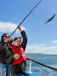🎣Vilken otrolig dag, nu är makrillen här på riktigt!
Hela dagens fiskerapport hittar du i vårt förra inlägg.
Vi kör alla dagar 8-12 & 13-17, boka på 070-201 00 88📞
Många dubbletter men ännu fler tripplar🐟🐟🐟
Man får vara snabb med att lyfta dom över relingen annars kanske man tappar dom💨
Trassel hör till makrillfiske😂
Bästa gick hem med över 150 stycken makriller❗️
Ett ordentligt grepp så den inte glider ur handen🤝
Ibland blir det riktigt tungt, det är några riktiga fighters🤺
Fokus i blicken👀
Man behöver inte stressa och ändå fångar man många 💪
Ibland är stimmen bara några meter under vattnet🌊
En av dom större idag på 635g😮
Man får kämpa ordentligt när det är fyra såna stora makriller på krokarna 💪