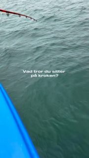 Vad trodde du satt på kroken? 👀
Det såg tungt ut… och det var det också.
Fyra fina makriller på samma gång! 🎣💥
Det är när makrillfisket är så här som det blir riktigt roligt på Öresund.
Hade du lyckats få upp alla fyra? 😅
🎣 Vi kör fisketurer två gånger om dagen hela sommaren
🕗 08:00–12:00
🕐 13:00–17:00
📞 Boka på 070-201 00 88
🌊 Rååbåtarna – vi kan vårt Öresun