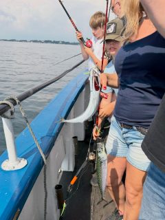 🎣 Dagens fiske bjöd på ovanligt stor variation!
Idag fick vi upp betydligt fler arter än vanligt. Förutom fina fångster av makrill, sill, tobis, gråsej och vitling bjöd Öresund även på ovanligt många simpor.
Dagens mest oväntade fångster? Ett OSTRON och en sjöstjärna! ⭐🦪
Det är just det som gör havsfiske så spännande – man vet aldrig vad som väntar under ytan, och varje tur bjuder på nya överraskningar.
🎣 Vi kör fisketurer varje dag hela sommaren!
📞 Boka din plats på 070-201 00 88 eller se turlistan på hemsidan.
🌊 Rååbåtarna – vi kan vårt Öresund