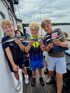 🎣 Dagens fiske på Öresund
Det finns inte många dåliga dagar på Öresund och idag var definitivt inte en av dem.
Makrillen nappade och fick sällskap av både horngädda, knot, simpa och lite vitling. En härlig blandning och gott om liv ombord. 🌊
Makrillfisket hör sommaren till. Vill du uppleva de fina stimmen, böjda spön och chansen till både bra mängder och fina storlekar är det nu du ska följa med, sommaren och makrillsäsongen går fort.
Vi kör två fisketurer om dagen hela sommaren:
🕘 Kl. 08:00 - 12:00
🕑 Kl. 13:00 - 17:00
📞 Boka din plats på 070-201 00 88
Rååbåtarna – vi kan vårt Öresund