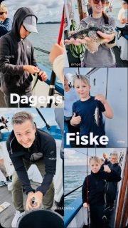 🎣 Lite bilder från dagens fiske på Öresund! En härlig dag på havet med go stämning ombord. 🌊🐟
Vi kör två fisketurer om dagen hela sommaren, så än finns det gott om chanser att följa med ut!
📞 Boka din plats på 070-201 00 88
🌊 Rååbåtarna – vi kan vårt Öresund