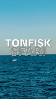 🐟 Nu öppnar bokningen till årets tonfisksafari!
Varje sensommar återvänder Öresunds största jägare – den blåfenade tonfisken. Att få se en fisk på flera hundra kilo bryta vattenytan är en naturupplevelse som är svår att beskriva med ord.
Efter många år på Öresund har vi sett att kvällarna ofta ger de bästa förutsättningarna, därför avgår alla våra tonfisksafariturer kl. 17:30.
☕ Under turen bjuder vi dessutom på kvällsfika, så luta dig tillbaka och njut av en magisk kväll på Öresund.
Eftersom tonfisken är vild kan vi aldrig lova observationer – men vi gör allt vi kan för att ge våra gäster de bästa möjliga förutsättningarna.
🎟 Antalet platser är begränsat och de populäraste datumen brukar bli fullbokade först.
📞 Boka din plats redan idag på 070-201 00 88.
🌊 Rååbåtarna – Öresunds tonfisksafari
TONFISKSSAFARI 2026
Avgångar kl. 17:30
* Söndag 9 augusti
* Måndag 10 augusti
* Tisdag 11 augusti
* Onsdag 12 augusti
* Torsdag 13 augusti
* Fredag 14 augusti
* Lördag 15 augusti
* Söndag 16 augusti
* Måndag 17 augusti
* Tisdag 18 augusti
* Onsdag 19 augusti
* Torsdag 20 augusti
* Fredag 21 augusti
* Lördag 22 augusti
* Söndag 23 augusti
* Måndag 24 augusti
* Tisdag 25 augusti
* Onsdag 26 augusti
* Torsdag 27 augusti
* Fredag 28 augusti
* Lördag 29 augusti
* Söndag 30 augusti
* Måndag 31 augusti
September
* Tisdag 1 september
* Onsdag 2 september
* Torsdag 3 september
* Fredag 4 september
* Lördag 5 september
* Söndag 6 september
* Måndag 7 september
* Tisdag 8 september
* Onsdag 9 september
* Torsdag 10 september
* Fredag 11 september
* Lördag 12 september
* Söndag 13 september
* Måndag 14 september
* Tisdag 15 september
* Onsdag 16 september
* Torsdag 17 september
* Fredag 18 september
* Lördag 19 september
* Söndag 20 september
* Måndag 21 september
* Tisdag 22 september
* Onsdag 23 september
* Torsdag 24 september
* Fredag 25 september
* Lördag 26 september
* Söndag 27 september
* Måndag 28 september
* Tisdag 29 september
* Onsdag 30 september
Kan tillkomma avgångar