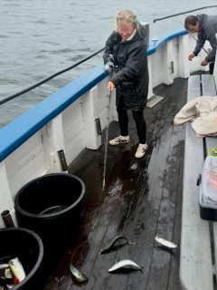 Vilken fiskedag på Öresund!
Lite fukt i luften stoppade knappast dagens gäng – och vad gör väl det när fisket levererar? 😄🌊
Idag bjöd sundet på en riktigt härlig blandning med gott om gråsej, makrill och vitling, tillsammans med några enstaka sillar. Böjda spön, många hugg och många överlyckliga ungdomar. Det är precis den där härliga känslan som gör att man gärna stannar ute lite längre.
Sommaren är inte över än och fisket fortsätter! 🎣
📞 Boka din plats på 070-201 00 88
🌊 Rååbåtarna – vi kan vårt Öresund