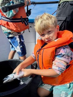 🔥🎣 Idag smällde det till ordentligt på Öresund!
Makrillen var i full fart under förmiddagen och när vi väl hittade rätt blev det riktigt roligt fiske. Böjda spön, full aktivitet runt båten och makrill efter makrill🐟
Framåt eftermiddagen vände strömmen och rörde om för både oss och fisken, vilket gjorde fisket betydligt mer svårjobbat. Så är livet på Öresund, förutsättningarna kan förändras snabbt!
🎣 Vi kör två fisketurer om dagen hela sommaren.
📞 Boka din fisketur på 070-201 00 88
🐟 Och nu är även tonfisksafarin igång!
Tonfisken har kommit till Öresund och vi har fyllt augusti och september med safariturer för dig som vill uppleva dessa mäktiga fiskar på nära håll.
Hela säsongens turlista hittar du på raabatarna.se eller hos @tonfisk_safari_raabatarna
🌊 Rååbåtarna – vi kan vårt Öresund