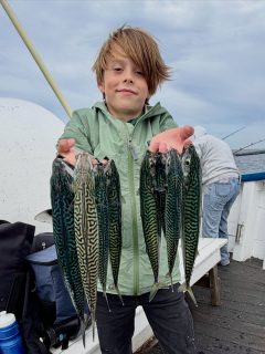 🎣 Dagens fiske på Öresund och vilken vändning!
Från start såg det nästan exakt ut som under gårdagens fina fiske. Lodningarna fanns där och fisken var där men idag gick det betydligt långsammare.
Två sillar här. En makrill där. Vi fick jobba lite för varje fisk.
Men det lönar sig att aldrig ge upp.
För plötsligt… SMÄLLDE DET TILL. 🔥🐟
Runt hela båten började spöna böja sig. Glädjeropen avlöste varandra och makrillen började flyga upp över relingen. För en stund var det fullständigt makrillkaos ombord, precis det ni såg i filmen vi la upp tidigare idag 😄
Det är svårt att slå den känslan. När väntan plötsligt förvandlas till total action och hela båten lever upp på samma gång. Helt fantastisk glädje ombord idag! 💙🌊
Makrillen är här och sommaren börjar gå mot sitt slut, passa på att uppleva sommarfisket medan det fortfarande är igång.
🎣 Två fisketurer om dagen
📞 Boka din plats på 070-201 00 88
Rååbåtarna – vi kan vårt Öresund
