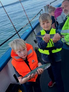 🎣 Dagens fiske på Öresund!
Förmiddagen var klart godkänd med en härlig blandning av småsill, fin makrill, gråsej och horngädda. När eftermiddagsturen lämnade hamnen var förväntningarna därför höga…
Första timmen? KÄMPIGR SÖKANDE👀
Resterande timmar? MAKRILLFISKE! 🔥🐟
När vi väl hittade rätt blev det ett riktigt lysande fiske med gott om fin makrill, ovanpå sillstimmen som redan var i full gång. Lägg till strålande väder och härlig stämning ombord så är betyget enkelt: 10/10 eftermiddag på Öresund☀️🌊
Makrillen är på hugget, passa på medan sommarfisket är som bäst!
🎣 Två fisketurer om dagen
📞 Boka din plats på 070-201 00 88