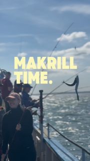 JUST NU MED RÅÅBÅTARNA! 🎣🔥
Makrillen är i full fart på Öresund! 🐟🐟🐟
Mer från dagens fiske kommer senare ikväll… 👀🌊