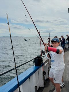 🎣 Gårdagens fiske på Öresund
Förmiddagen bjöd på riktigt fint fiske. Vi hittade makrillen, spöna böjdes och det blev precis den där härliga aktiviteten ombord som vi alla hoppas på när vi lämnar Råå hamn. 🐟🔥
Till eftermiddagen hade vinden tilltagit lite, men förutsättningarna såg fortfarande lovande ut. Som alla som fiskat makrill vet kan den göra precis som den vill, och den här eftermiddagen ville den inte alls samma sak som på förmiddagen.
Vi sökte, flyttade oss och jobbade vidare, men fisken var betydligt svårare att hitta och fångsten blev därefter.
Och det här är också fiske.
Fiske är jakt. Det finns inga garantier och två turer med bara några timmars mellanrum kan ge helt olika resultat. Ena stunden står man mitt i ett stim och hela båten får napp. Några timmar senare kan vinden, strömmen och fisken ha förändrat förutsättningarna helt och då börjar sökandet om från början.
Det är också därför vi försöker visa hela bilden i våra rapporter. Både dagarna när det kokar runt båten och turerna när vi får kämpa för varje fisk.
För oss handlar en fisketur dessutom om mer än antalet fiskar i baljan. Det är havet, förväntan, jakten, glädjen när det väl nappar och några timmar tillsammans ute på Öresund. 🌊💙
Ibland får man full utdelning. Ibland får man jobba hårdare.
Det är precis det som gör fiske till fiske.
🎣 Vi kör två fisketurer om dagen
📞 Boka din plats på 070 201 00 88
Rååbåtarna, vi kan vårt Öresund