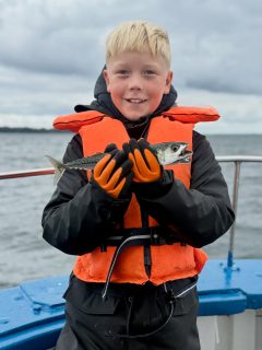 🎣 Dagens fiske på Öresund – ett perfekt exempel på hur snabbt allt kan förändras
Två av våra båtar var ute idag. Islandia avgick kl. 08:00 och satte kurs söderut.
Redan på första stoppet small det till och makrillen nappade, men lika snabbt som den dök upp var den borta igen och lämnade plats åt några småsillar. Vi drog därför vidare mot Ven, där makrillfisket stundtals varit riktigt gynnsamt den senaste tiden.
Men nej… inte idag. 😅
Det roliga är vad som hände sedan.
Ungefär en timme senare anlände Siam till i princip samma område och då var det som att någon tryckte på en knapp.
PANG! 🔥🐟
Makrillen var plötsligt där och gästerna fick uppleva ett riktigt härligt makrillrace med böjda spön och full aktivitet ombord.
Det är svårt att få ett tydligare exempel på hur makrillfiske fungerar. Ena stunden kan man leta och undra vart fisken tagit vägen. En timme senare, på samma plats, kan hela havet plötsligt vakna till liv.
Det är jakten som gör det så spännande. 🌊
Och oavsett fiskens humör fick vi åtminstone en fantastisk solig dag på Öresund. ☀️💙
Lediga platser imorgon 8-12, boka på 070-201 00 88📞
🐟 Ikväll byter delar av besättningen makrillen mot betydligt större fiskar och kör en egen tonfisksafari. Förhoppningsvis kommer de hem med några riktigt häftiga filmer att dela med sig av på @tonfisk_safari_raabatarna 👀
🌅 Vi kör Öresunds Tonfisksafari varje kväll med avgång kl. 17:30.
📞 Boka din plats på 070 201 00 88
Rååbåtarna – vi kan vårt Öresund.