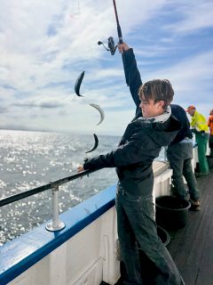 🎣 Dagens fiske på Öresund

Både vinden och strömmen låg lite över vad våra kära väderinstitut hade lovat idag, men vad gör väl det när kämparglöden finns ombord🌊

De första två, tre stoppen var det ganska lugnt och inte mycket spännande hände. Men sedan hittade vi rätt.

Därefter blev det ett riktigt trevligt makrillfiske där alla fick känna på makrillens krafter och den där härliga känslan när spöna börjar böja sig runt båten 🐟🔥

Fantastiskt rolig dag och ett fantastiskt gäng ombord! 💙

🎣 Vi kör två fisketurer om dagen
📞 Boka din plats på 070 201 00 88

Rååbåtarna – vi kan vårt Öresund