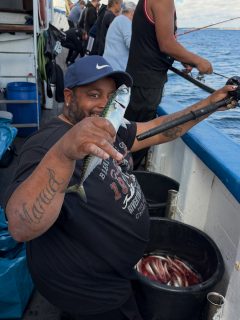 🎣 Dagens fiske på Öresund
När makrillen inte tänker göra det enkelt får man helt enkelt visa att man är lite envisare. 💪🐟
Idag hade vi @makrill_langs_vastkusten på besök och gänget visade att även när makrillen är lite svårflörtad så går den att lura.
Småsillen dominerade dagen, men här och var dök det upp makrill. Eller Scomber scombrus, som vår däcksman numera envisas med att kalla dem😂 Hon har tydligen fått tag på ett fisklexikon och det märks…
Vi fick dessutom en hel del Trachinus och några riktigt maffiga Cottidae.
Känner du att fiskrapporten plötsligt kräver en biologexamen? 😂 Förtydligandet hittar du i vår Story.
En rolig dag på Öresund med härliga gäng, lite kämpande och precis den där jakten som gör fisket så kul 🌊🎣
Rååbåtarna – vi kan vårt Öresund