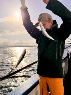 🎣 Dagens fiske på Öresund
Det var en minst sagt blöt väderprognos som väntade oss i morse, men vi gav oss ut och började jakten.
Redan på första stoppet kom både makrill och sill ombord🐟 Men ganska snart började de mörka molnen närma sig, med både dunder och blixtar rakt i vår riktning.
Då finns det inget att fundera på. Vi flyttade oss undan åskvädret och lät det dra förbi på säkert avstånd. ⛈️
Utanför området nappade det betydligt sämre, men som tur var drog ovädret vidare ganska snabbt och vi kunde återvända till platsen där fisken hade visat sig tidigare.
En sådan där dag där man får anpassa sig efter både fisk och väder. Det är Öresund som bestämmer förutsättningarna och vår uppgift är att läsa dem så bra vi kan 🌊
Trots regn, åska och lite extra letande blev det ännu en dag med spöna i händerna och jakten på makrillen igång.
Rååbåtarna – vi kan vårt Öresund