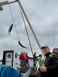 🎣 Förmiddagens fiske på Öresund
Lite grått på himlen, men desto mer fart ombord😄🌊
Vi fick ett par riktigt fina makrillrace där det plötsligt nappade runt båten och stämningen steg direkt. Fantastiskt roligt när det lossnar så där 🐟🔥
Det kom även upp några sillar och lite vitling, så det blev en trevlig blandning i baljorna.
Nu laddar vi om inför eftermiddagens tur och hoppas att Öresund har mer att bjuda på 💪
Rååbåtarna – vi kan vårt Öresund