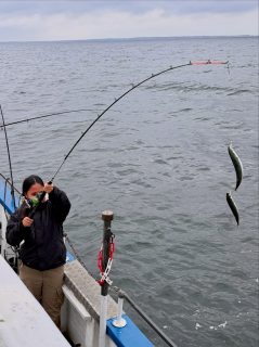 🎣 Eftermiddagens fiske på Öresund
Eftermiddagen blev inte riktigt lika vild som förmiddagen, men absolut inte så pjåkig heller 😄🐟
Makrillen fick oss att jobba lite mer för den, men med tålamod, letande och några rätt placerade stopp kom det fisk ombord och vi fick ännu en fin tur på sundet.
Det är lite så makrillfisket fungerar just nu. Ena stunden kan det smälla till ordentligt, nästa får man söka vidare efter nästa stim.
Två olika turer, två olika förutsättningar – och ännu en dag där Öresund bjöd på både fiske och härlig stämning ombord. 🌊
Rååbåtarna – vi kan vårt Öresund
