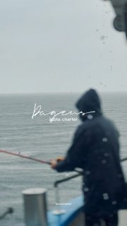 🌧️ Regn hela turen. Dålig stämning?
Inte direkt😄
Idag hade vi ett chartersällskap ombord och trots att himlen öppnade sig över Öresund blev det en riktigt lyckad tur.
Mycket skratt, bra stämning och ett gäng som visade att vädret faktiskt inte behöver bestämma hur bra en dag blir.
Det är lite det vi gillar med charter.
Man samlar sitt gäng, lämnar vardagen i land och får några timmar tillsammans på Öresund. Resten löser sig 🌊⚓️
Imorgon, Lördag, lovar dom vindar upp mot 21 m/s så då håller vi oss i land men där efter ser det ut att kunna bli trevligt väder igen💨☀️
📞 Vill ni också boka en egen tur med företaget, familjen eller vännerna?
Ring 070 201 00 88
Rååbåtarna – vi kan vårt Öresund