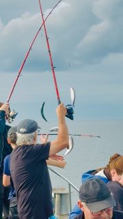 NU ÄR SILLFISKET IGÅNG🎣
📞Boka din plats på 070-201 00 88 och häng med ut
Rååbåtarna- Vi kan vårt Öresund