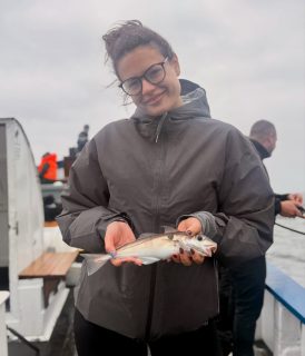 Två båtar ute på Öresund idag 🎣 På Siam väntade metecharter och på Islandia stod sillfiske på programmet.

Vinden tog stundtals i mer än prognosen hade visat. Under förmiddagen var det lite knepigt att hålla båten över de största sillstimmen, men fisket fungerade ändå fint sett över dagen. Och det blev fler arter än sill! Några mindre koljor, en riktigt fin knot och någon makrill kom också upp.

Metegänget på Siam fick söka lä på den danska sidan. Vinden begränsade var vi kunde fiska och till en början var fisken lite svårflörtad, men till slut blev det helt okej fiske.

Och vilken stämning ni gäster bjöd på! Det var en fröjd att få vara med er på havet idag. Tack för en härlig dag ombord 💙

Vill du följa med oss ut? Ring och boka på 070 201 00 88.

Rååbåtarna - Vi kan vårt Öresund