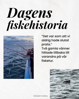 ”Det var som att vi aldrig hade slutat prata.”
Två äldre herrar följde med oss på fisketuren. De hade varit nära vänner, men så kom livet emellan och kontakten blev allt glesare. Ombord hittade de tillbaka till samtalet och till varandra. Det märktes hur glada de var över att ses igen 💙
Vi pratar ofta om glädjen när det nappar. Den här dagen fick vi också en fin påminnelse om hur mycket tiden tillsammans kan betyda.
Det är sådana möten vi vill ge plats för hos Rååbåtarna. En stund vid relingen där gamla vänner kan prata ikapp och nya bekantskaper kan börja.
Finns det någon du länge tänkt höra av dig till? Skicka ett meddelande. Kanske ska nästa fisketur bli er.
