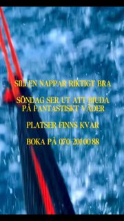 Fisket fortsätter att leverera och idag hade vi återigen ett fantastiskt sillfiske på Öresund 🎣
Nu väntar en riktigt fin och rolig helg. Prognosen inför söndag ser otroligt lovande ut och det finns fortfarande platser kvar ombord.
Vill du fylla hinken med sill och njuta av en dag på sundet? Ring och boka din plats på 070 201 00 88.
Rååbåtarna - Vi kan vårt Öresund
