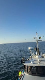 ☀️ VAD HAR DU FÖR SÖNDAGSPLANER?
Häng med oss ut på Öresund i eftermiddag! Det väntar strålande sol och fisket är fantastiskt just nu 🎣
Vi avgår klockan 13.00. Slå en signal på 070 201 00 88 så bokar vi in dig ombord!
Rååbåtarna - Vi kan vårt Öresund