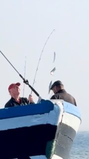 Man kommer för fisket. Och längtar tillbaka för hela känslan 🎣
Snacket vid relingen, skratten mellan nappen och glädjen som smittar när någon drar upp fisk. Ombord finns något att samlas kring, oavsett om man känt varandra i många år eller precis har träffats.
Det är den gemenskapen vi vill skapa på våra turer. Fisk med hem och en riktigt härlig stund tillsammans på Öresund.
Rååbåtarna - Vi kan vårt Öresund