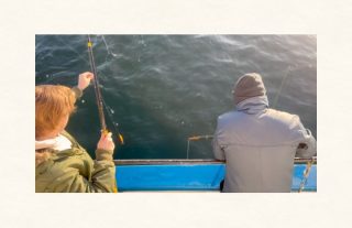 Massor av sill och ett gäng fina makrillar som bonus idag! 🎣
Idag får ljudet ombord stå för musiken. Bläddra bland klippen, slå på ljudet och häng med oss en stund på Öresund.
Tack till alla som var med idag! Vill du själv stå vid relingen imorgon finns det några platser kvar på turen kl. 08.00 till 12.00.
Ring och boka på 070 201 00 88.
Rååbåtarna - Vi kan vårt Öresund