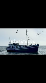 Det finns inget matchat en dag på Öresund!

Vi kör åretrunt. 

Rååbåtarna- Vi kan vårt Öresund