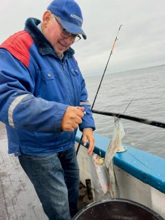 Ny vecka på sundet och sillen fortsätter leverera! Gott om sill idag igen och även makrill som bonus 🎣
Tack till dagens gäng för sällskapet ombord!
Vi kör sillturer tisdag till söndag. Nästa meteturer går den 25 och 31 oktober samt den 7 november, kl. 08.00 till 14.00.
Häng med! Boka på 070 201 00 88. Hela turlistan finns på raabatarna.se.
Rååbåtarna - Vi kan vårt Öresund