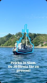 Skepparen brukar lägga till. Nu är det din tur 😏⚓️
Pausa när Siam passar i markeringen. När instruktionen om DM dyker upp har du träffat rätt!
De 20 första som skickar en skärmbild med instruktionen synlig till oss i DM får en liten present hemskickad 🎁 En present per person.
Rååbåtarna - Vi kan vårt Öresund