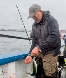 Vi hade bokat in en silltur. Makrillen hade tydligen andra planer! 🎣
Både sill och makrill nappade fantastiskt fint idag, så mitt under turen drog vi igång en liten tävling om vem som kunde fånga den största makrillen.
Länge var det jämnt med flera fina fiskar runt 500 gram. Men så kom den. En riktig torped på 630 gram som avgjorde tävlingen! Grattis till vinnaren som gick hem med ett litet pris 🏆
Vilken rolig dag på sundet! Tack till hela gänget som var med och gjorde den till vad den blev.
Vi kör sillturer tisdag till söndag. Nästa meteturer går den 25 och 31 oktober samt den 7 november, kl. 08.00 till 14.00.
Häng med! Boka på 070 201 00 88. Hela turlistan finns på raabatarna.se.
Rååbåtarna - Vi kan vårt Öresund