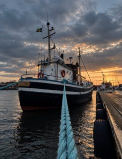 Nu börjar vinden så smått avta, men det är först under morgondagen som den väntas lätta ordentligt. Därför ställer vi in morgondagens tur.
Resten av veckan ser däremot ut att bjuda på fantastiskt fint fiskeväder, och vi längtar efter att komma ut på sundet igen. Det här kan bli ett riktigt härligt höstlov! 🎣🍂
Under vecka 44 bjuder vi alla barn som följer med på korv och dricka. Erbjudandet gäller måndag till fredag. Ta med familjen ut, vi hjälper er gärna att komma igång med fisket!
Boka på 070 201 00 88
Rååbåtarna - Vi kan vårt Öresund