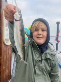 Vilken avslutning på höstlovsveckan! 🎣☀️
Platt vatten, knappt en vindpust och riktigt, riktigt härlig stämning ombord. Dessutom en hel del fisk! Tack till alla som följde med och gjorde dagen så rolig.
Imorgon är det fullbokat, men på söndag finns fortfarande några platser kvar. Häng med oss ut på Öresund!
Boka på 070 201 00 88. Hela turlistan finns på raabatarna.se.
Rååbåtarna - Vi kan vårt Öresund