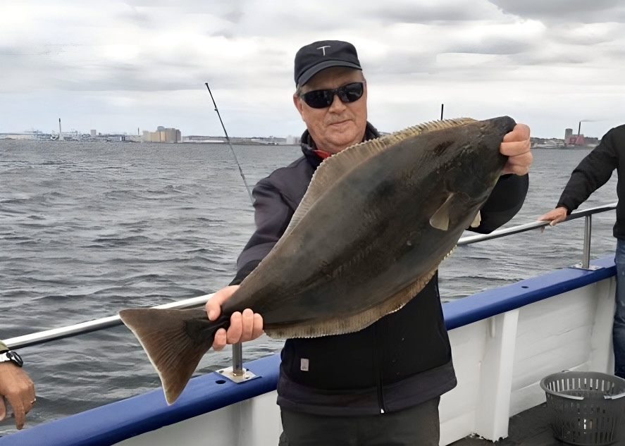 Fiska i Öresund – komplett guide för råå helsingborg landskrona