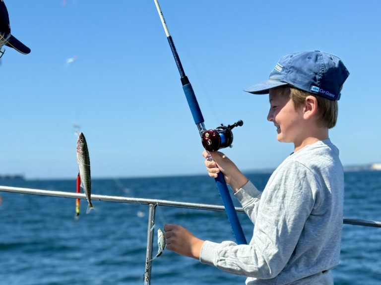 hälsofördelar med fiske
