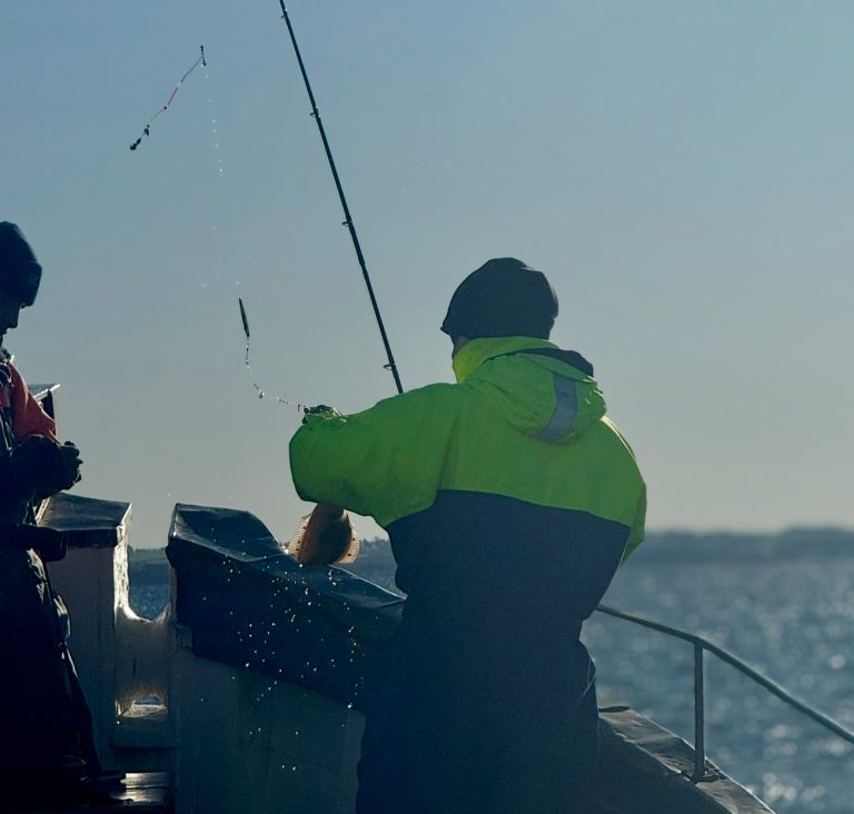 Bottenmete med rååbåtarna mellan helsingborg och landskrona