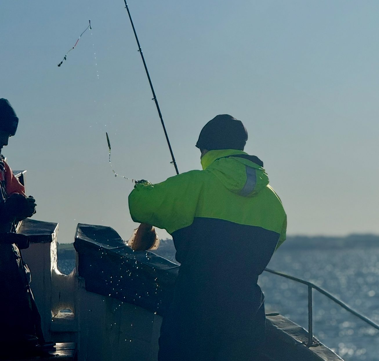 Bottenmete med rååbåtarna mellan helsingborg och landskrona